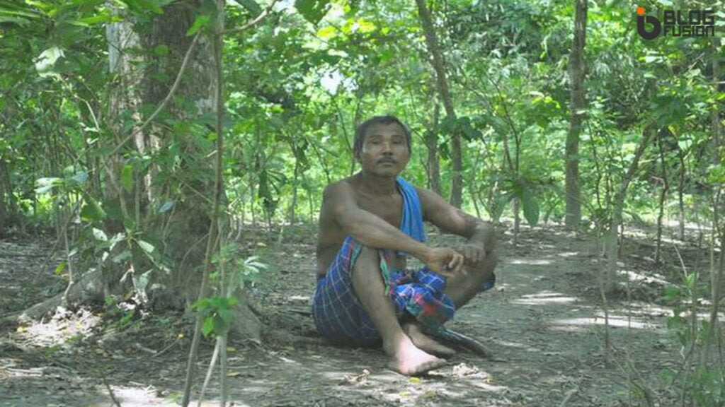 Jadav continued to nurture and plant trees over the next several decades. His relentless efforts transformed the once desolate area into a lush green forest.