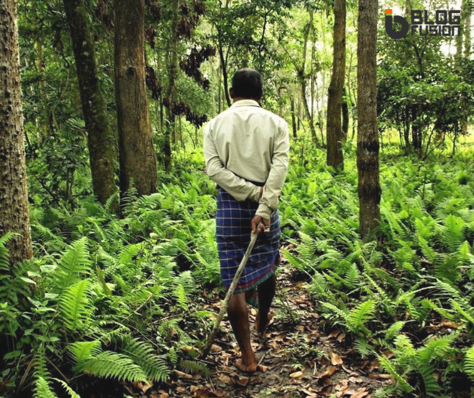 Molai forest- A home for many animals.