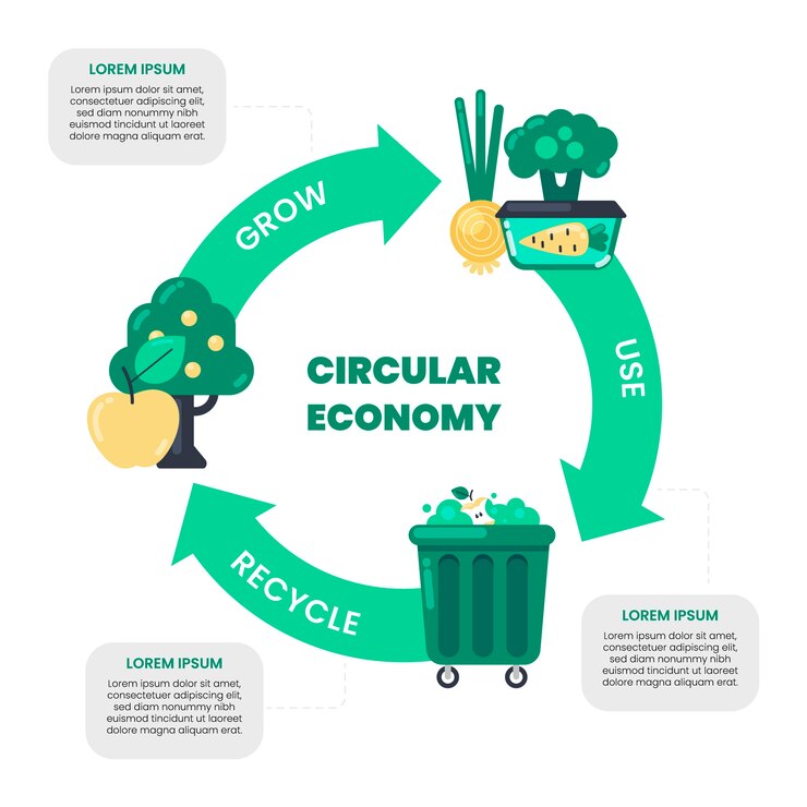 Flat design circular economy infographic