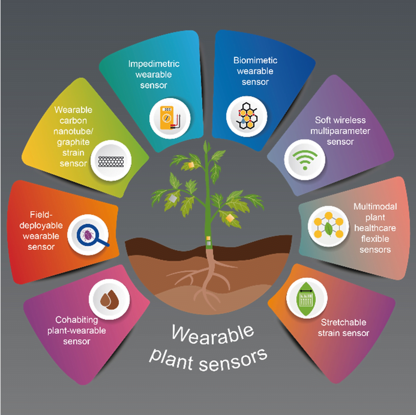 Schematic of wearable sensors for plant monitoring