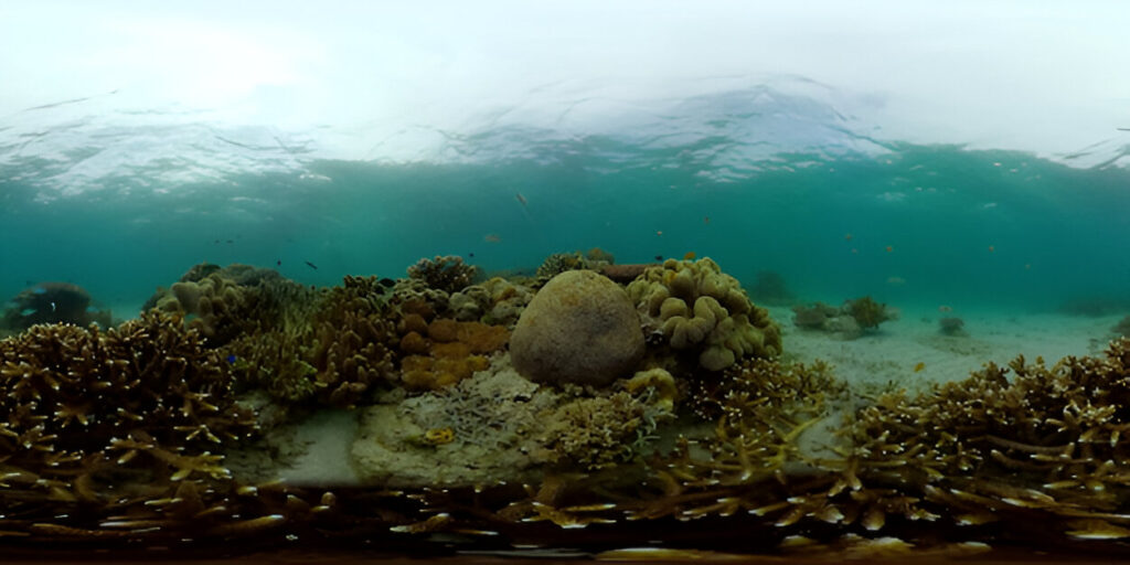 Tropical underwater colorful reef tropical underwater sea fish