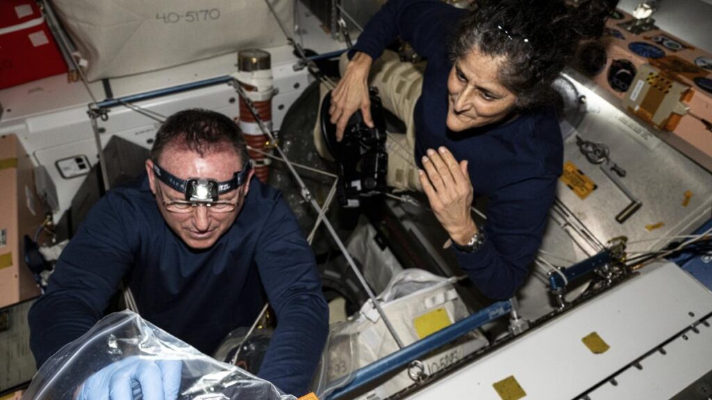 In this photo provided by NASA, astronauts Butch Wilmore, left, and Suni Williams inspect safety hardware aboard the International Space Station on August 9, 2024. | Photo Credit: AP